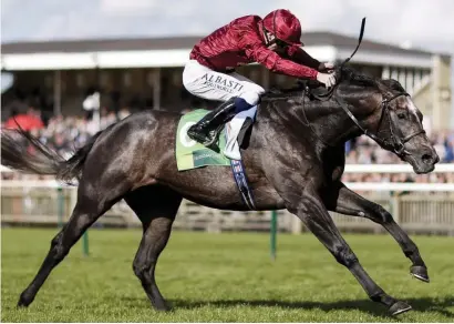  ??  ?? YOUNG LION. Roaring Lion is the leading three-year-old in Saturday’s Qipco Champion Stakes over 2000m at Ascot.