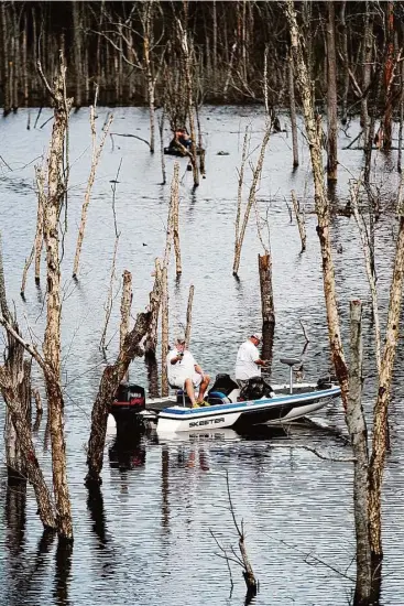  ?? Andrew Brosig / Associated Press ?? Anglers thread through some of the drowned timber in Lake Naconiche, a 7-year-old, 700-acre reservoir in Nacogdoche­s County that recently produced a 14.12-pound largemouth bass and is expected to be one of the state’s high-quality largemouth bass...