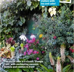  ??  ?? The secret door is a classic ‘trompe l’oeil’ with enchanting eucomis, fuchsia and cosmos in front