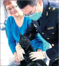  ?? DING SHAN/ CHINA DAILY ?? A traveler from the United States watches as a quarantine inspection officer examines her cat at Beijing Capital Internatio­nal Airport late last month.