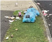  ??  ?? Seagulls ripped into a rubbish bag of Neisha Rhind’s friend on a Tairua street.