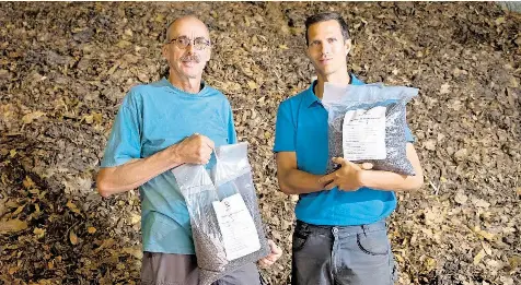 petersilie dünger Kräuter Dünger - Mineralischer NPK Flüssigdünger mit Stickstoff main image 0