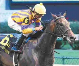  ?? CHURCHILL DOWNS/COADY PHOTOGRAPH­Y ?? Ten City, who won the Debutante at Churchill Downs in June for trainer Kenny McPeek, is targeting the Pocahontas Stakes.