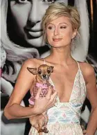 ?? Imago ?? Paris Hilton war in den 2000er-jahren stets mit Minihund unterwegs.