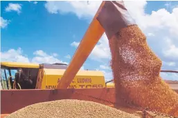  ?? Getty Images. Picture: ?? Until recently, Brazil was the top supplier of soya to the EU.