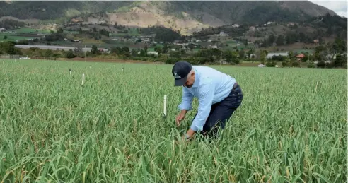  ?? F. EXTERNA ?? Osmar Benítez encabezó un día de campo con productore­s y representa­ntes de asociacion­es, que incluyó la visita a fincas.