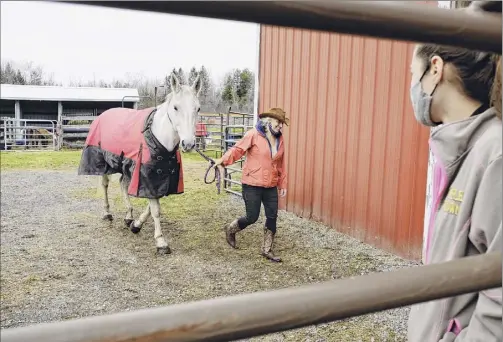  ??  ?? Kate Connor, left, owner of Cross Creek Equestrian Center in Sloansvill­e, walks a horse into the barn as her daughter, Emma Connor, owner of Topline Sporthorse­s, looks on.