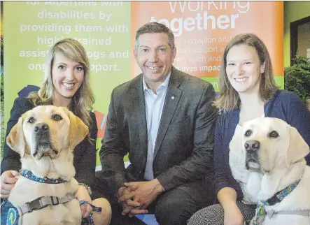  ?? PHOTOS: KERIANNE SPROULE ?? Working alongside Dr. Sarah MacDonald, left, Sheldon Kennedy Child Advocacy Centre lead director Sheldon Kennedy, and Emily Synnott, trauma dogs Axel, left, and Webster have already become crucial members of the team.