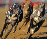  ??  ?? Finishing line: London was once home to 33 greyhound tracks