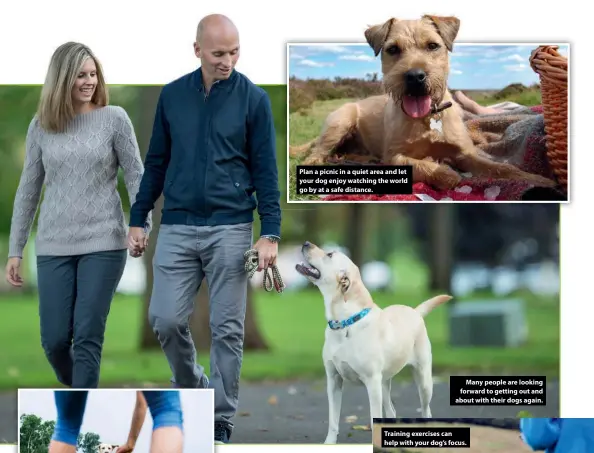  ??  ?? Plan a picnic in a quiet area and let your dog enjoy watching the world go by at a safe distance.