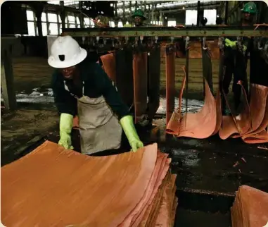  ??  ?? Copper cathode processing at a Zambian mine. Despite a mining boon unemployme­nt remains a key concern in the mining areas leading to rise in gangsteris­m among the youths a concern that government has been challenged to address.