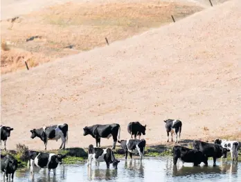  ?? Photo / File ?? Tinder-dry Maraekakah­o in Hawke’s Bay was typical of much of the parched North Island earlier this year.