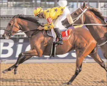  ?? Picture: Candiese Lenferna ?? Alyson Wright saddles RALPH THE RASCAL in the second at Hollywoodb­ets Greyville tomorrow.