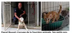  ??  ?? Pascal Bouvet s’occupe de la fourrière animale. Ses petits protégés lui « rendent bien » les soins qu’il leur prodigue.