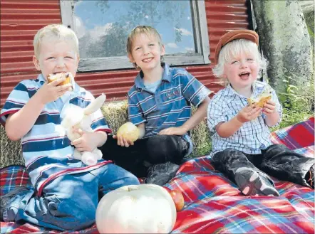  ?? Photo:RHIANNON MCCONNELL ?? Fair fun: From left, Alderdice-Spice brothers Daniel, 5, Connor, 6, and Luke, 2, are ready for the Little Sprouts Country Fair.