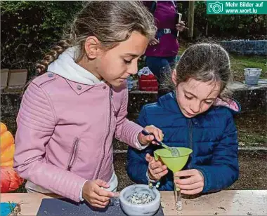  ?? Fotos: Alain Piron ?? Mehr Bilder auf www.wort.lu
Mit Salz und den angebauten Kräutern aus dem Schulgarte­n haben die Kinder Kräutersal­z hergestell­t, das in kleinen Röhrchen an alle Gäste verteilt wurde.