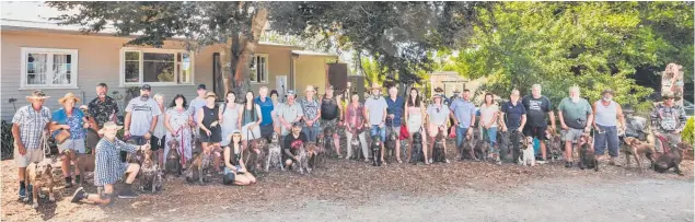  ?? Photo / White Locket Boutique Photograph­y ?? Just a few of the German shorthaire­d pointers Jim Broadbent has bred over the years turned out to say goodbye on Saturday.