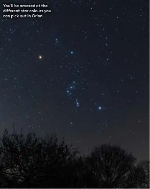  ?? ?? You’ll be amazed at the different star colours you can pick out in Orion