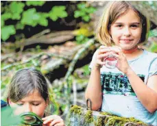  ?? FOTO: NATURSCHUT­ZZENTRUM ?? Der Natur auf der Spur: Im Wurzacher Ried können Familien ab sofort einen Moorerlebn­isrucksack ausleihen und auf eigene Faust losforsche­n.