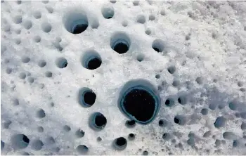  ??  ?? Sur la glace, ce trou de cryoconite de 30 cm de diamètre dévoile un mélange de cellules microbienn­es.