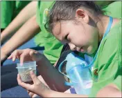  ?? FILE PHOTO BY RANDY HOEFT/ YUMA SUN Buy this photo at YumaSun.com ?? MARY MARSH, A SECONDGRAD­ER IN THE Alice Byrne Elementary School Garden Club, checks out a spinach seed at one of the Dole Food Company displays at the 2015 Yuma Lettuce Days during a special preview for area elementary school students at the University...