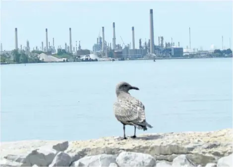  ?? PAUL MORDEN/POSTMEDIA NETWORK ?? Industries in Chemical Valley are shown in this view of Sarnia Bay in Sarnia, Ont. A resident of a southern Ontario First Nation is going to court over what they say is an eight-year delay in Ontario meeting a promise to review how it regulates...