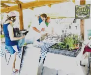  ??  ?? Michael Patton and his father, Jack Patton, prepare an order for a customer at the Gravette Farmers Market on June 13. The owners of Patton Family Farms operate a booth at the market 8 a.m. to 1 p.m. Saturdays.
(NWA Democrat-Gazette/Susan Holland)