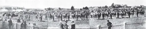  ?? COPIES OF PICTURE AVAILABLE FROM ODT FRONT OFFICE, LOWER STUART ST, OR WWW.OTAGOIMAGE­S.CO.NZ ?? Parade of prize winners at the North Otago A and P Society’s annual show. — Otago Witness, 30.11.1920.