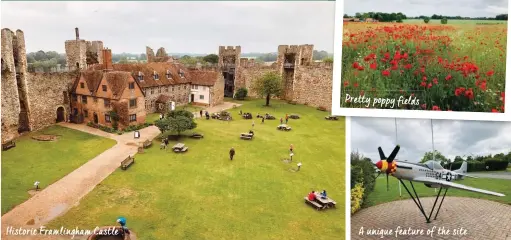  ??  ?? Historic Framlingha­m Castle
Pretty poppy fields
A unique feature of the site