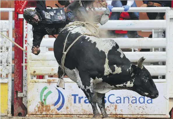  ?? GAVIN YOUNG ?? Brock Radford from De Winton was bucked off Something’ Cool in the bull riding event at the Stampede rodeo on Tuesday.