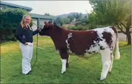  ??  ?? Claire Case Brackett and her steer named Phoenix Rising.