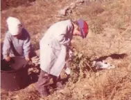  ??  ?? Left: a vintage photo of Rofes, aged eight, with his sister, in the Montsant vineyard of their grandparen­ts