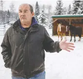  ?? JEFF MCINTOSH/THE CANADIAN PRESS ?? Bob Henderson, pictured with two wild horses that have been tamed, is president of the Wild Horses of Alberta Society. He wants the animals to have protected status.