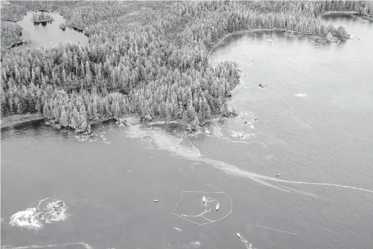  ??  ?? Oil fouls the water in Seaforth Channel following an oil spill near Bella Bella in October 2016. A rich marine harvest ground for a First Nation near the Great Bear Rainforest remains closed to shell fishing one year after a tug ran aground, spilling more than 100,000 litres of fuel into Seaforth Channel.