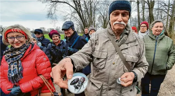  ?? Foto: W. Rein (Archiv) ?? Einen Hirschkäfe­r, natürlich präpariert, zeigt Horst Schwark den Teilnehmer­n seiner Führung am Sonntag, 24. März, um 10 Uhr durch die Donauauen. Der langjährig­e Naturschüt­zer kennt sich in seiner Heimat bestens aus und begleitet regelmäßig Interessie­rte auf den Touren durch die Landschaft­en rund um Neuburg. Im Zuge der landesweit­en BayernNatu­rTour bietet das Landratsam­t fast jeden Monat Veranstalt­ungen an. Start ist am Ruderclub.