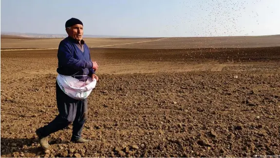  ?? Bild: Felat Bozarslan/DW ?? Der türkische Bauer Abdurrahma­n Durgun bei der Aussaat auf einem Feld im Südosten der Türkei