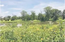  ?? OAK BROOK PARK DISTRICT ?? The Dorothy and Sam Dean Nature Sanctuary in Oak Brook is ideally suited for an array of nature-based activities.