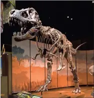  ?? Contribute­d ?? Stan the T-rex is a popular attraction at Tellus Science Museum.