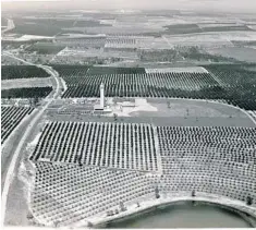  ?? THE CITRUS TOWER ?? Thousands of acres of citrus groves surrounded the Citrus Tower in Clermont when it opened in 1956. An estimated 17 million trees could be seen from the top.