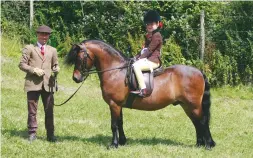  ??  ?? Pumphill Mr Theodore and Scarlett Whitehurst qualify for HOYS