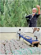  ?? (Pix by M A Pushpa Kumara) ?? Christmas spirit: Clergy and laity alike prepare for the many trappings of Christmas