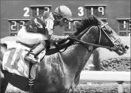  ?? COADY PHOTOGRAPH­Y ?? Endorsed, 4 for 13 in his career, is winless in five starts since this win at Oaklawn Park. He makes his turf debut Wednesday.