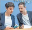  ?? FOTO: DPA ?? Verbotene Liebe oder nur im Sturm der Liebe? Frauke Petry und Marcus Pretzell.