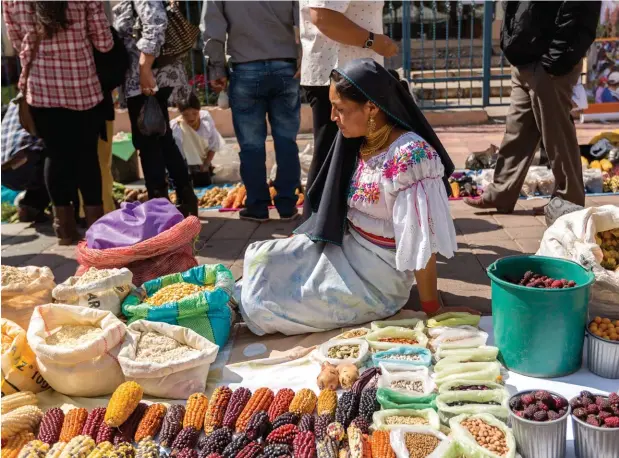  ??  ?? Mujer vendiendo maíz, diferentes harinas y granos, Muyu Raymi, Cotacachi. / Woman selling corn, cornflour and beans, Muyu Raymi, Cotacachi.