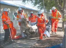  ?? BEA AHBECK/NEWS-SENTINEL ?? Caltrans workers clean up the homeless encampment along Highway 99 in Lodi on Thursday morning.