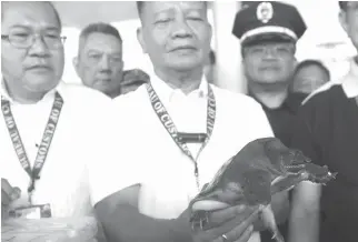  ?? PHOTO BY BENJIE VERGARA ?? BANNED FOR EXPORT
Customs Commission­er Isidro Lapeña holds one of the Chinese softshell turtles that were intercepte­d on Friday afternoon by Bureau of Customs personnel at a cargo warehouse in the Ninoy Aquino Internatio­nal Airport.