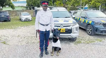Hero dog honoured at JCF awards - PressReader