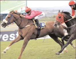  ??  ?? A P STRIKE, with Eric Saziso Ngwane up, wins the eighth from Dreamy Forest (Warren Kennedy in the irons) at Scottsvill­e on Sunday. This was Ngwane’s third win on the day.
Picture: Nkosi Hlophe