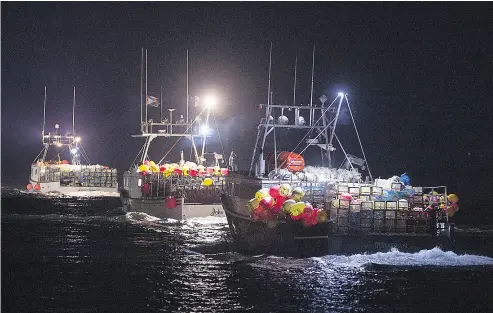  ?? ANDREW VAUGHAN / THE CANADIAN PRESS ?? Lobster boats head to drop their traps from Digby, N. S., last Saturday. The first part of the season in Lobster Fishing Area 35, which covers the eastern end and upper basins of the Bay of Fundy, runs until the end of December.