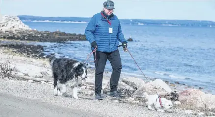  ?? RYAN TAPLIN/SALTWIRE NETWORK ?? Trish MacCormack, a volunteer with ElderDog Canada, takes Maxx and Lily out for a walk in Mill Cove near Chester on Monday.